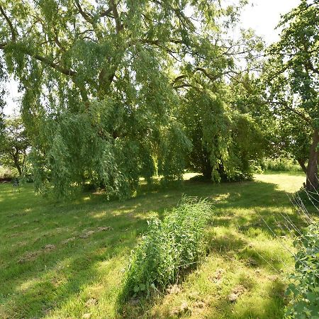 Spacious Holiday Home In Hornstorf With Trampoline Екстериор снимка